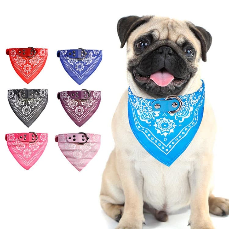Coleira Bandana Ajustável Cachorro Pequeno Médio – Couro Resistente + Encaixe Guia Estilosa Pet