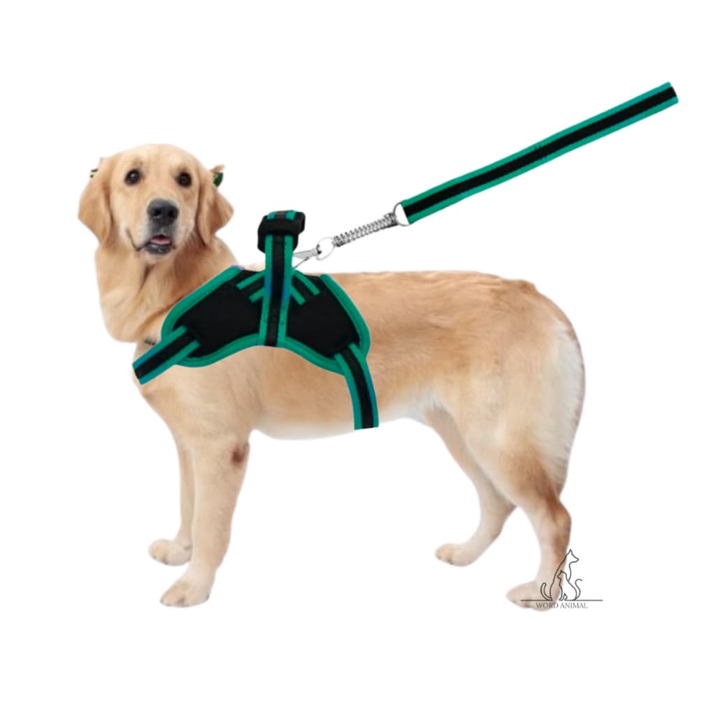 Peitoral para cachorro de porte pequeno médio e grande porte muito barato varias cores tamanhos pet coleira