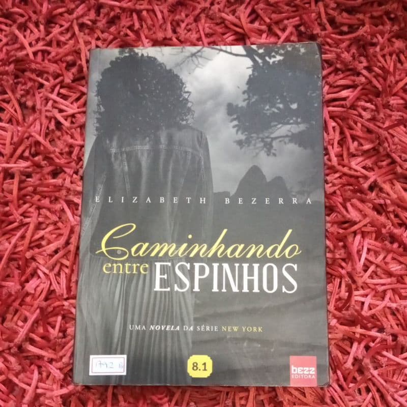 Caminhando entre espinhos Elizabeth Bezerra (1792b)