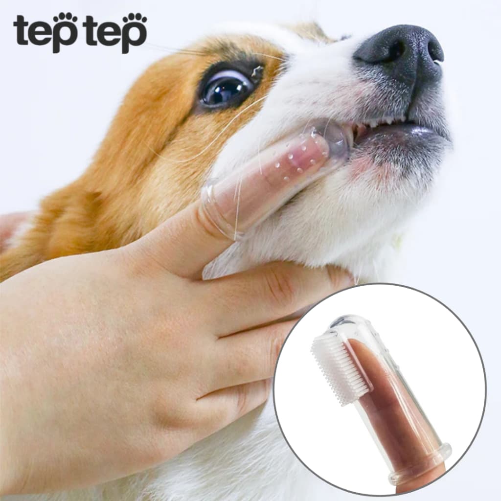 Escova de Dedo com Estojo para Pets Dedal Gato Cachorro Higiene de Dentes - TepTep