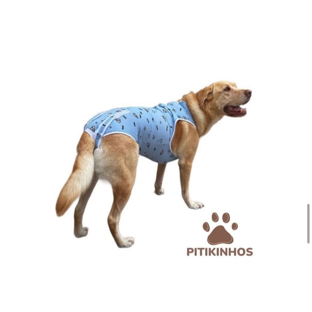 ROUPA PÓS CIRURGICA PET ROUPA POS CASTRAÇÃO