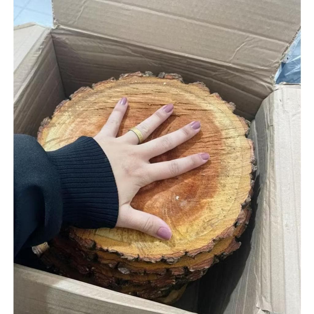 Madeira Rustica Bolacha de Mogno Africano - 20 a 24 cm