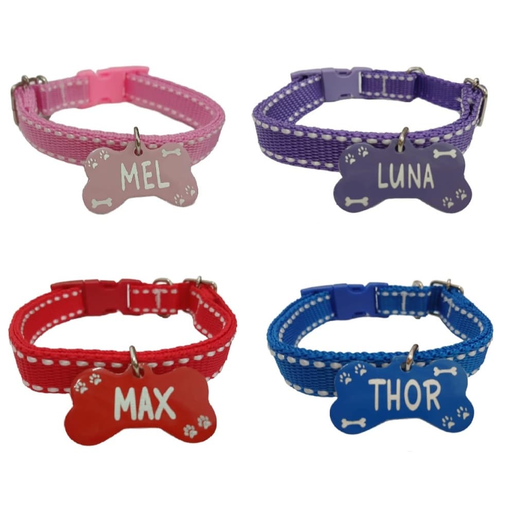 Coleira Para cães e Gatos Com Plaquinha de Identificação Alumínio Gravada!