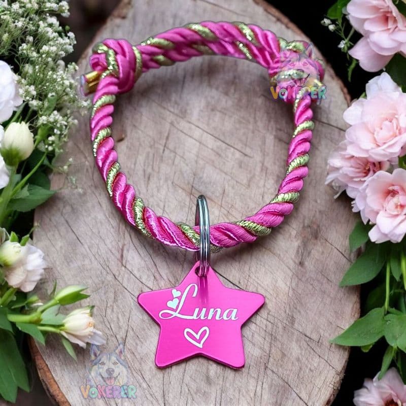 Colar Personalizado Coleira Gato Cachorro Pequeno com Nome - Tag Estrela