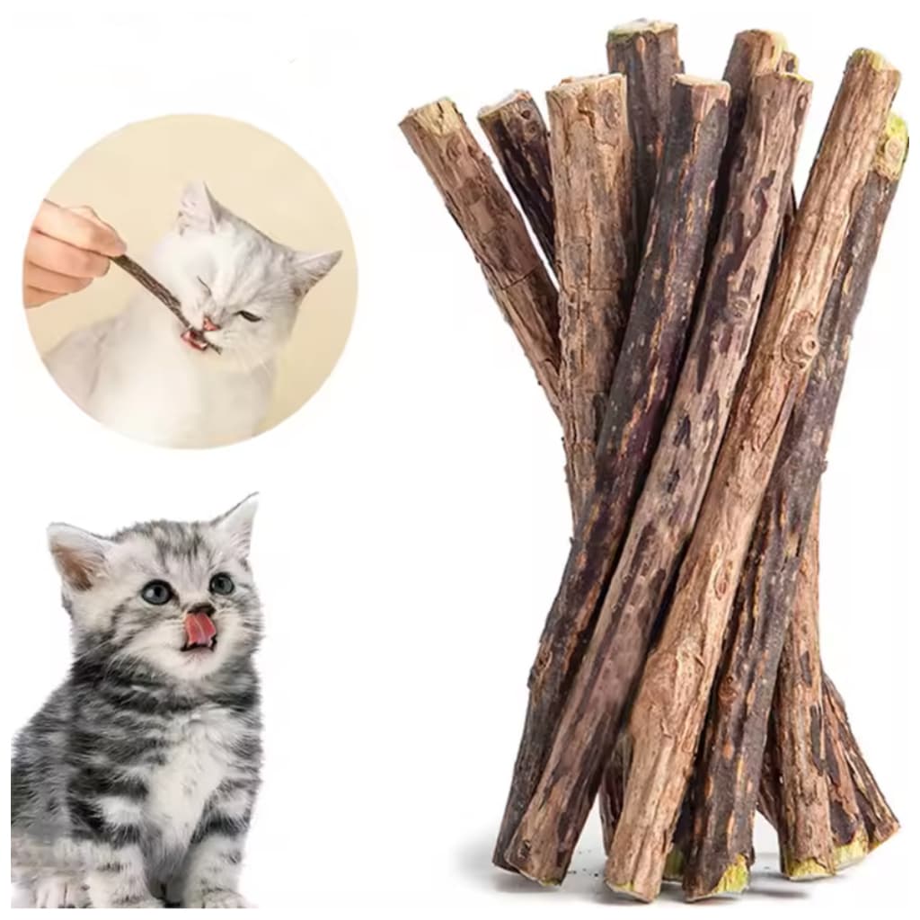 Bastão de Matatabi Natural para Gatos – Brinquedo Interativo e Antiestresse – (2, 5, 10 ou 15 Uni)