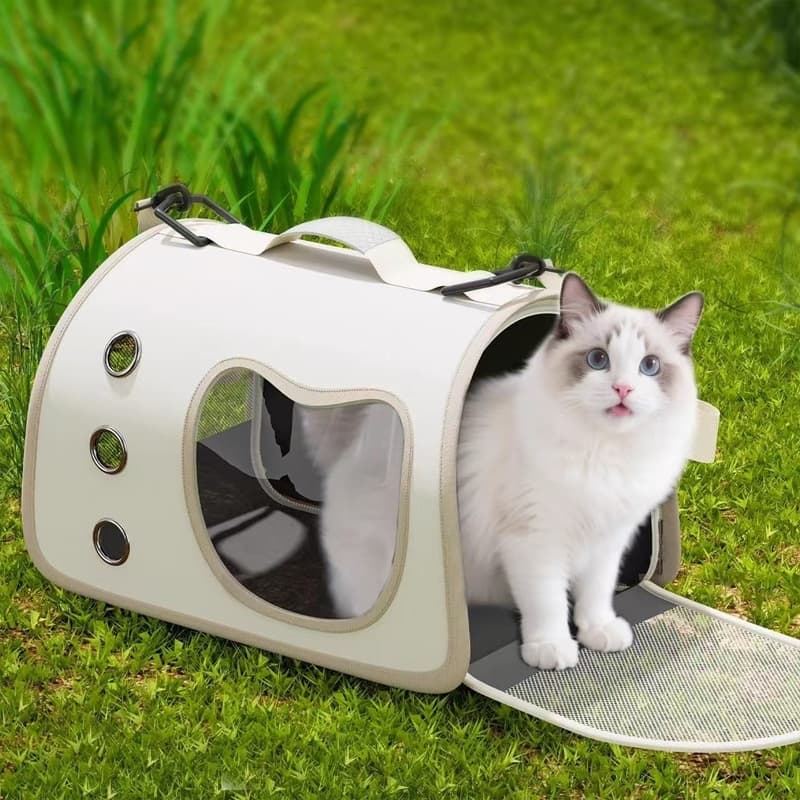 Bolsa Mochila De Pet Média Transporte Viagem Avião Cães Gatos