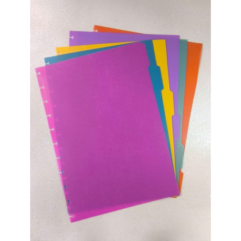 Divisórias Plásticas para Caderno de Discos 6 unidades.
