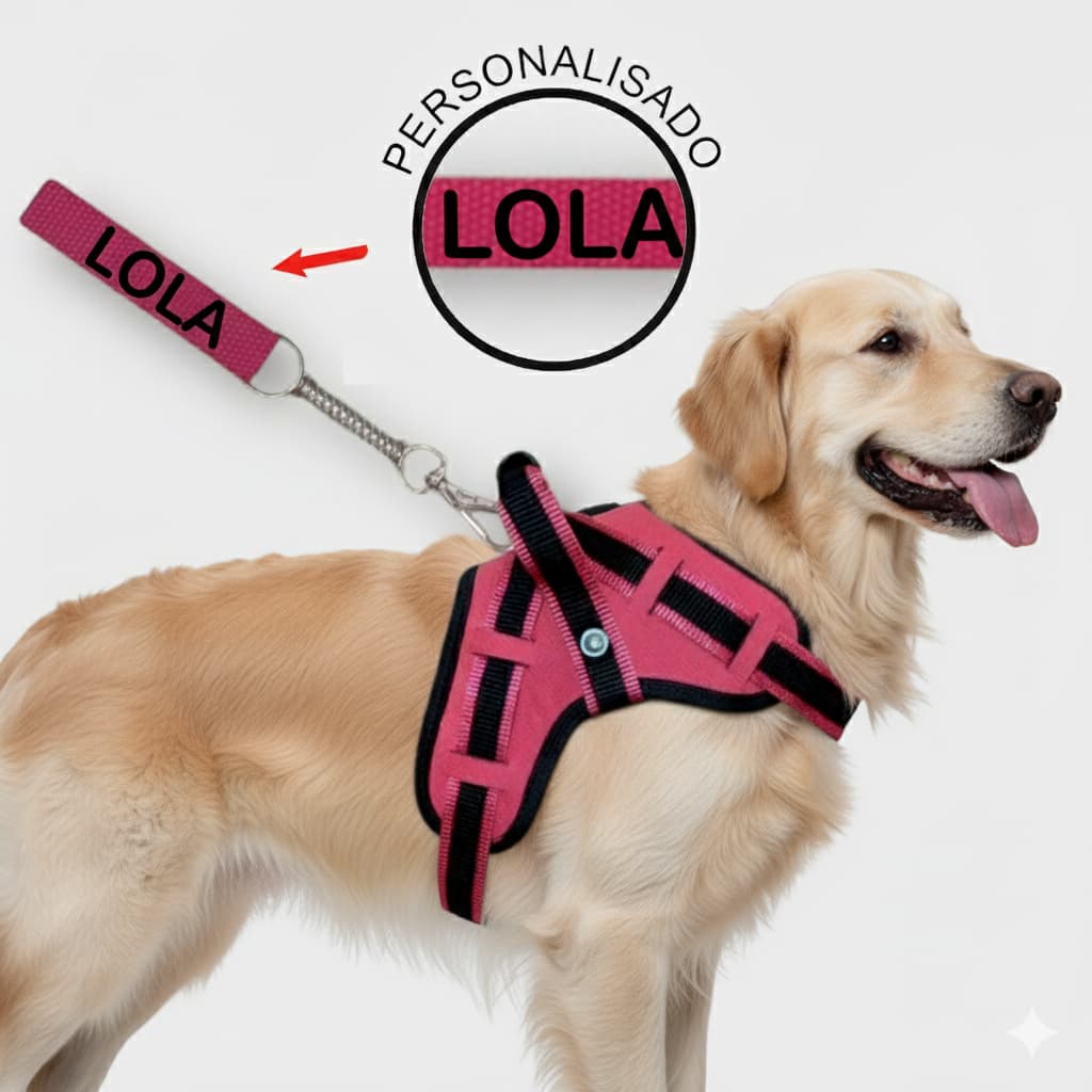 Coleira peitoral para cachorro reforçada com nome na guia cachorro de pequeno mdio e grande porte para passeios com mola