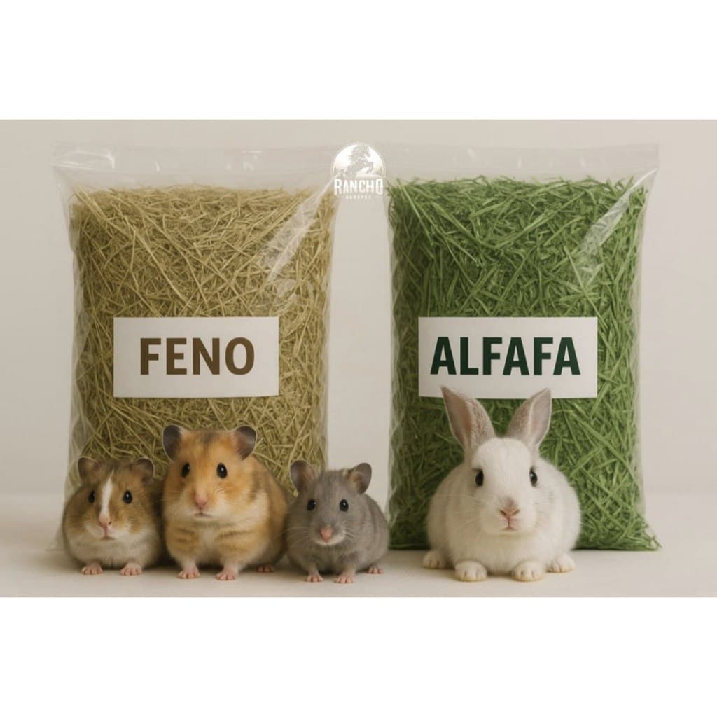 Kit Alfafa Premium + Feno para Roedores 500g à 4kg