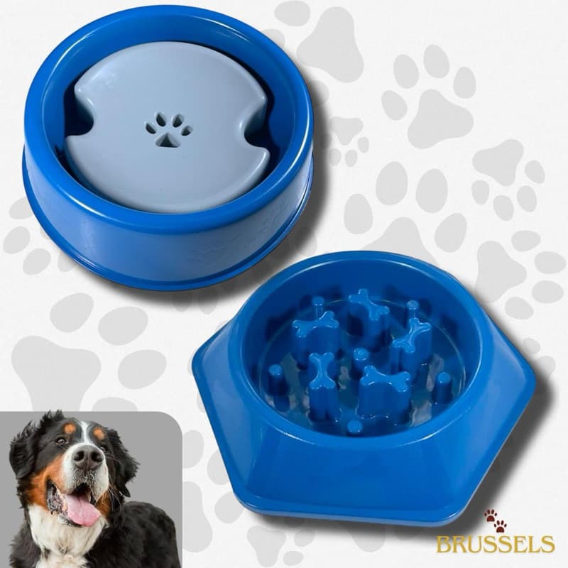 Kit Pet Comedouro Lento + Bebedouro Anti‑Molho para Cães de Pelos Longos – Interativo e Educativo