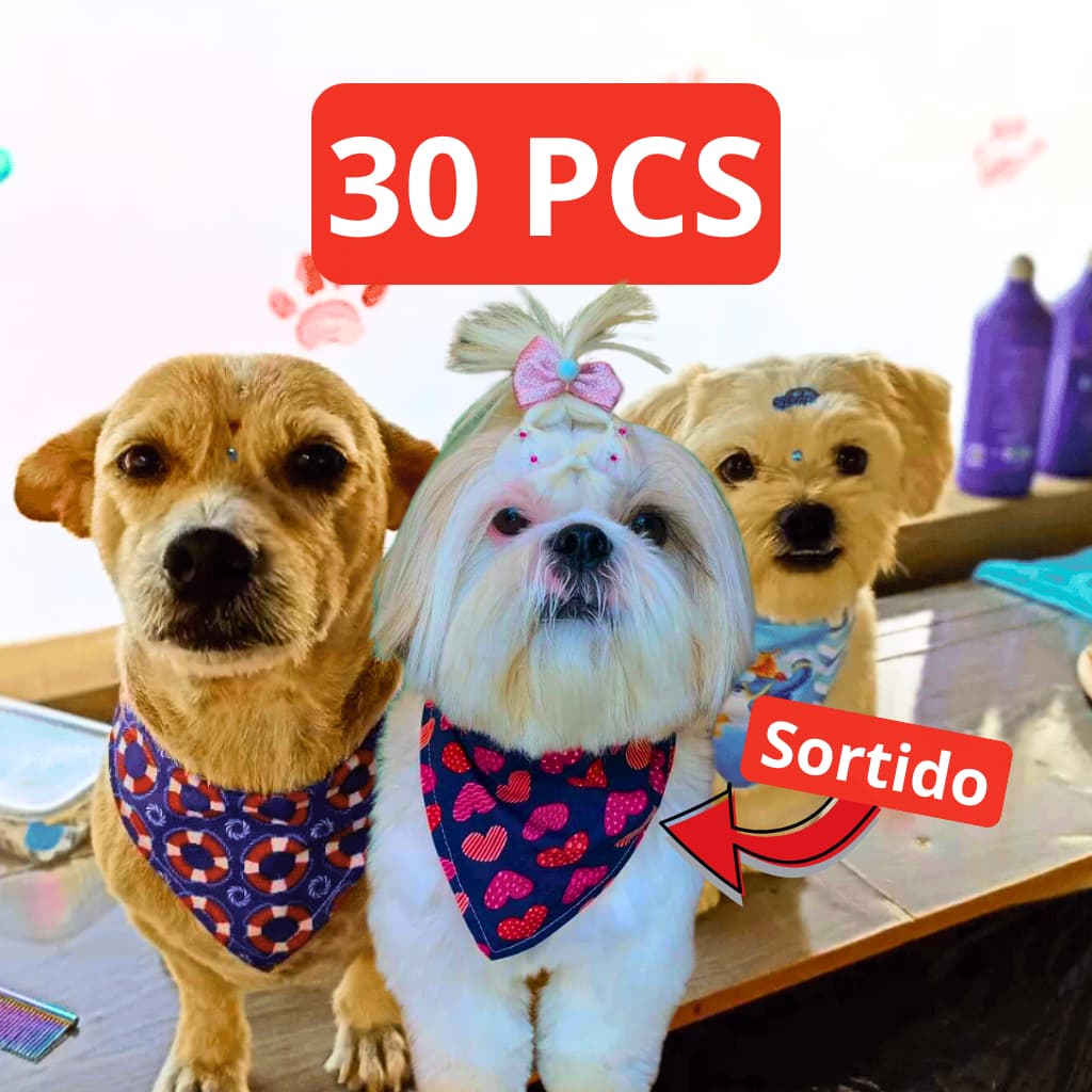 Kit Luxuoso com 30 Bandanas Pet - Femininas e Masculinas - Pet Shop Banho e Tosa - Estampas Sortidas