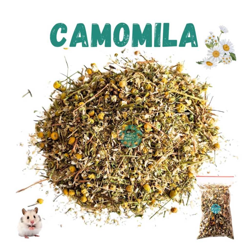 Camomila para enriquecimento ambiental roedores, hamster,twister,gerbil.