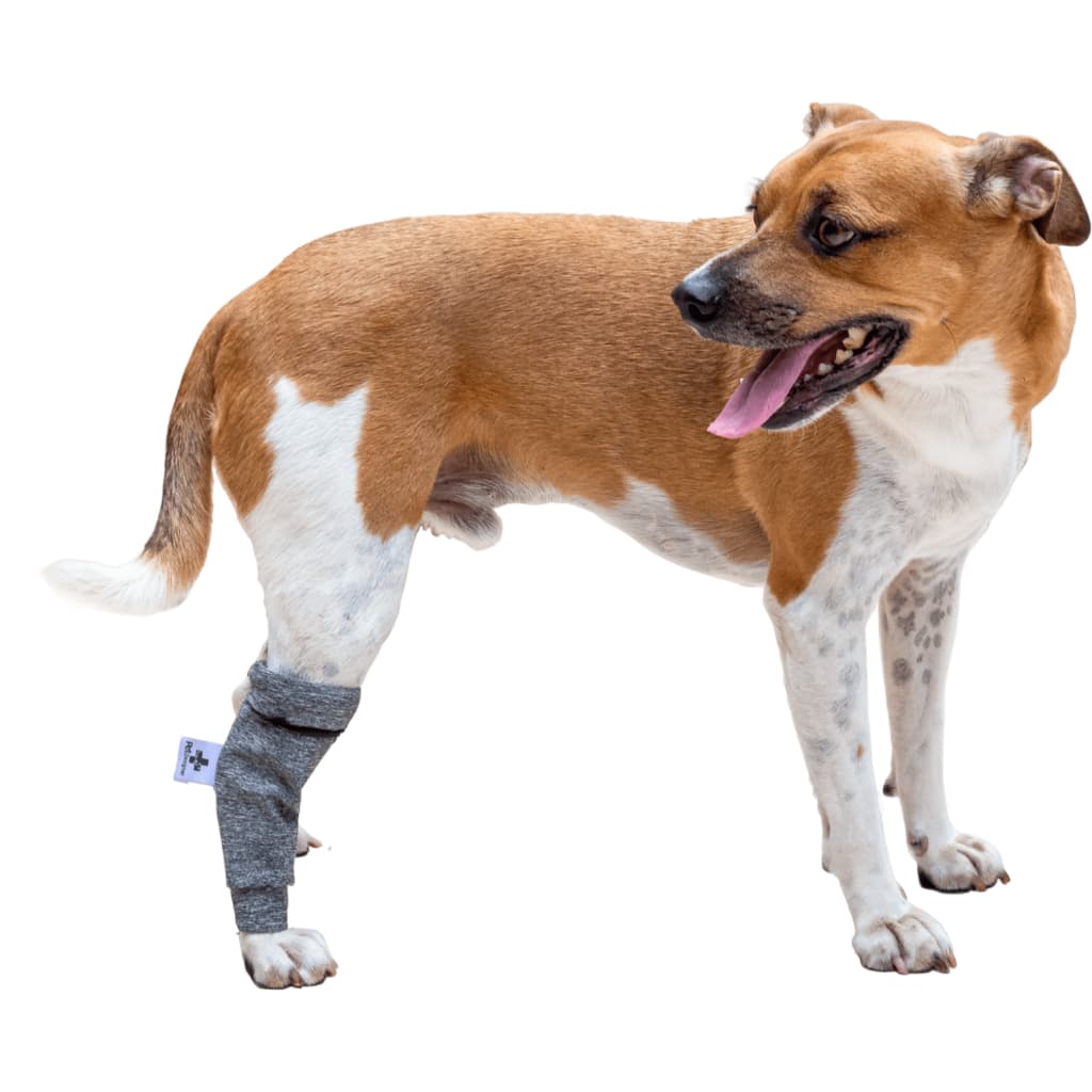 Protetor de Perna para Cão – Polaina - Manga de Recuperação Pós-Cirúrgica - TAM 1 ao 6