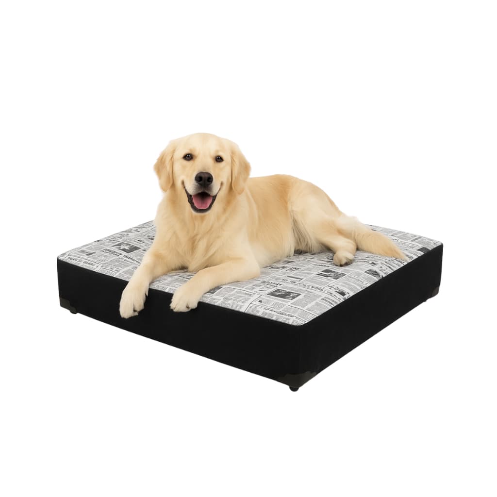 Cama Box Pet Premium Sofá Caminha para Cães e Gatos | Conforto, Design Moderno e Fácil de Limpar