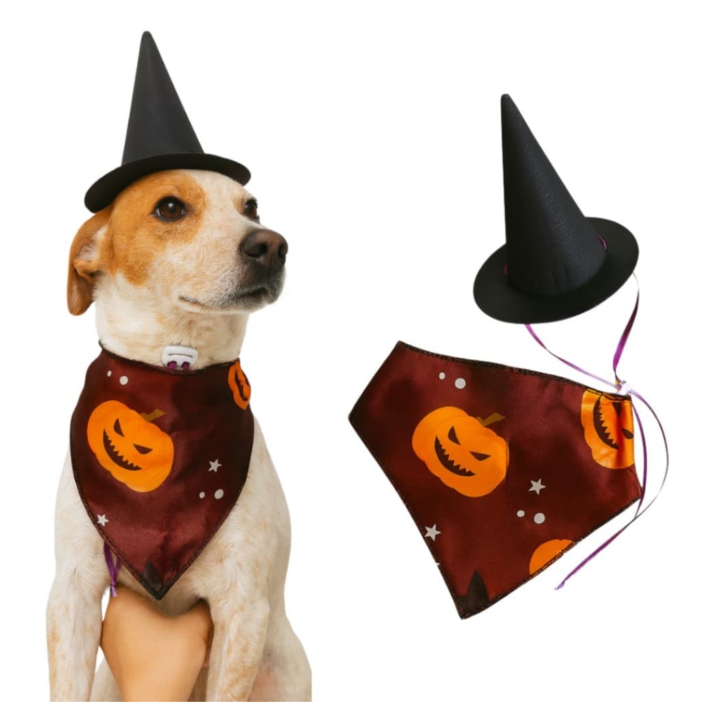 Chapéu de Bruxa/Bruxo para Pets – Fantasia Divertida de Halloween 🐾