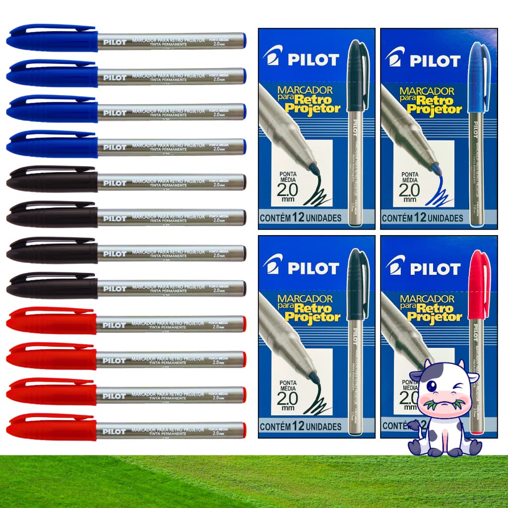12 Canetas Pincel Marcador Tinta Permanente Ponta 2.0mm Retroprojetor Pilot
