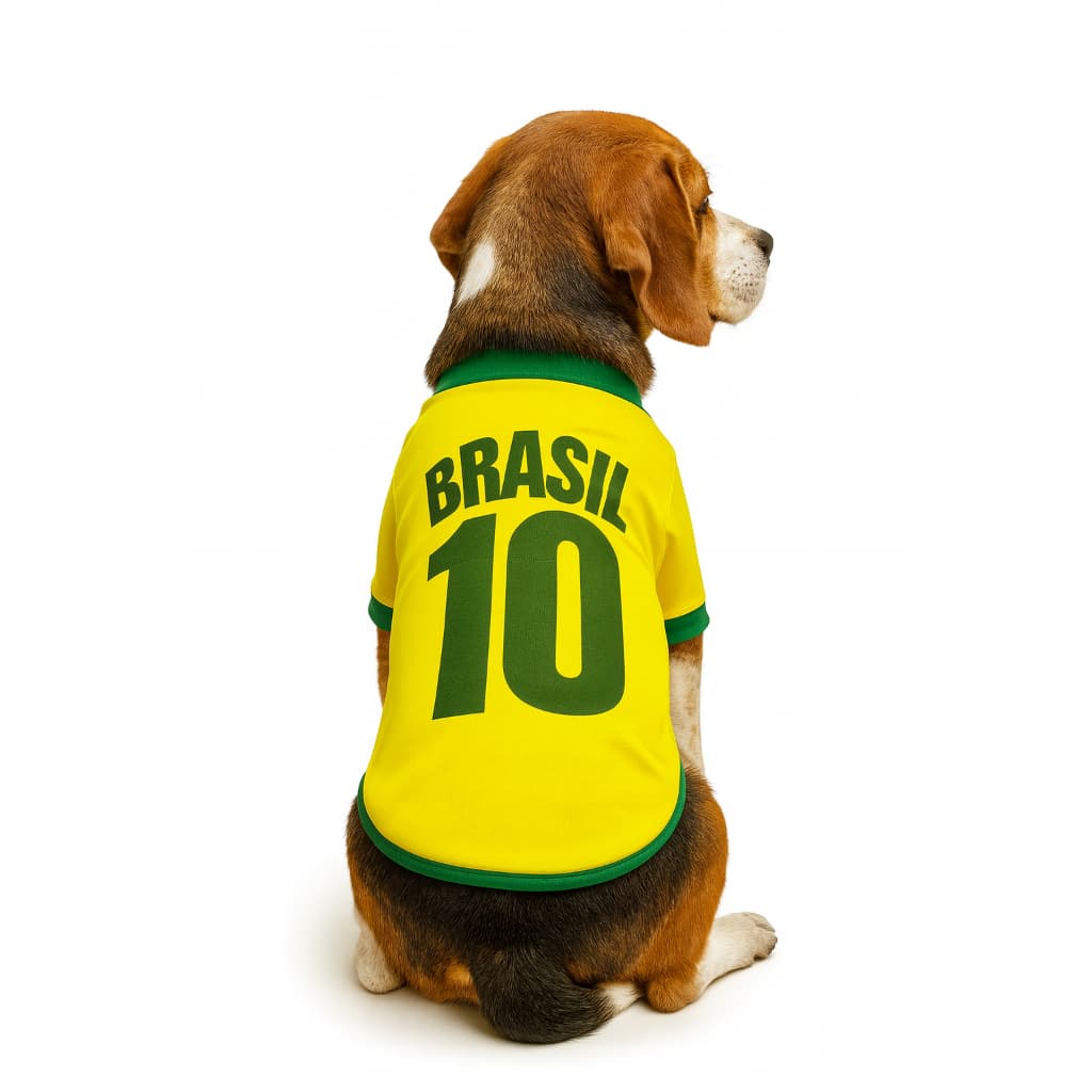 Roupinha PET Cachorros e Gatos BRASIL, Camisa 10 , Copa do mundo, camiseta para pet