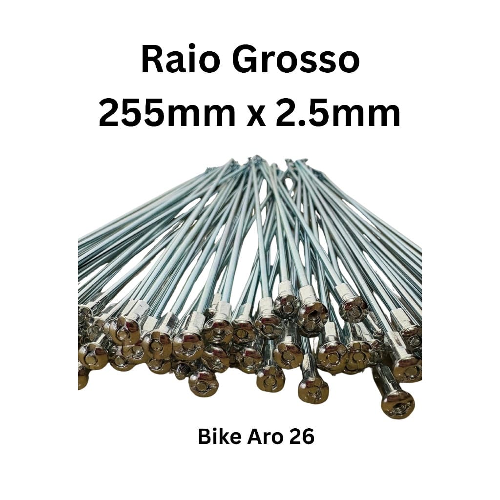 Raio Grosso Aro 26 255 x 2.5mm Para 1 ou 2 Roda De Bicicleta Cor Cromado Com Niples