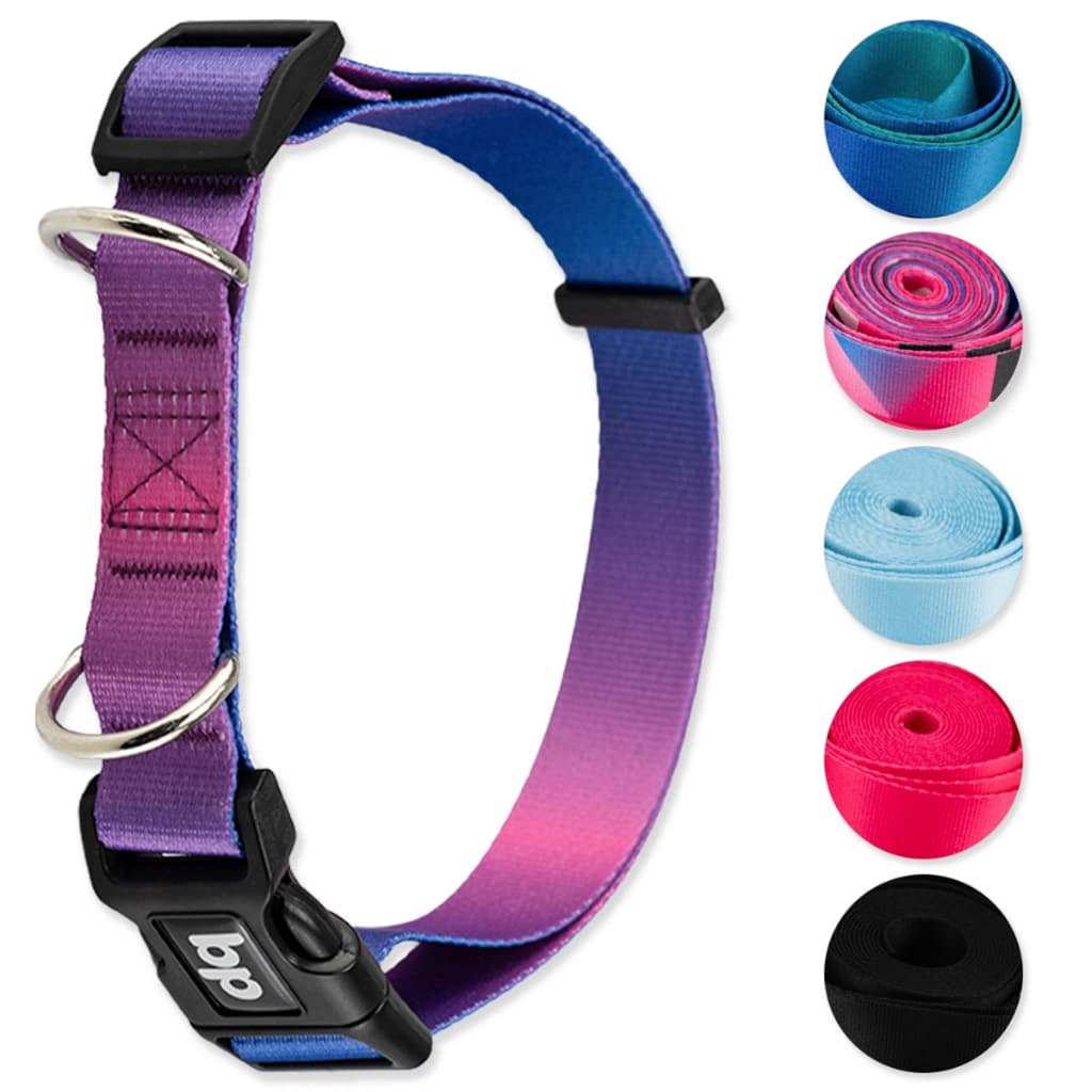 Coleira para Cachorro Cães Regulável Adestramento Várias estampas Basic Pet