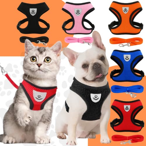 Guia Coleira de Malha Flexível com Colete Peitoral Ajustável para Cão Cachorro Gato Animais