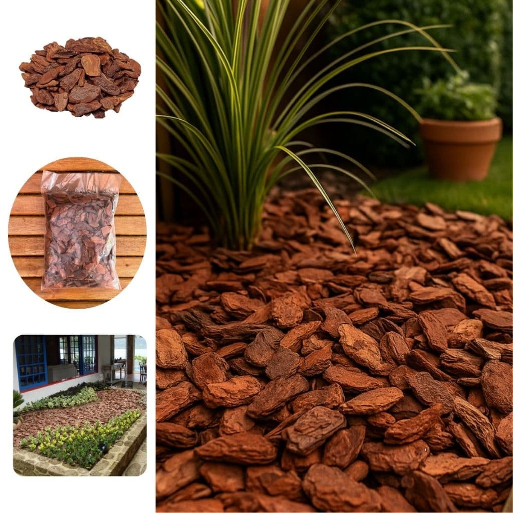 Casca de Pinus 10 Litros Natural Para Jardinagem e Decoração
