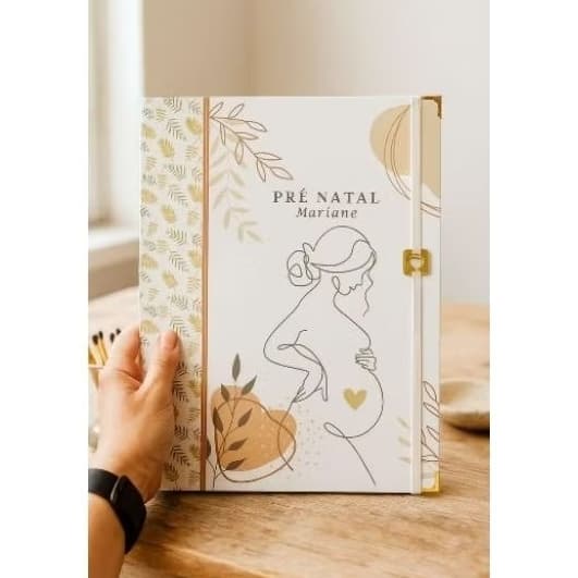 Pasta Catálogo Pré-natal para Gestantes do 1º ao 3º Trimestre - porta documentos A4