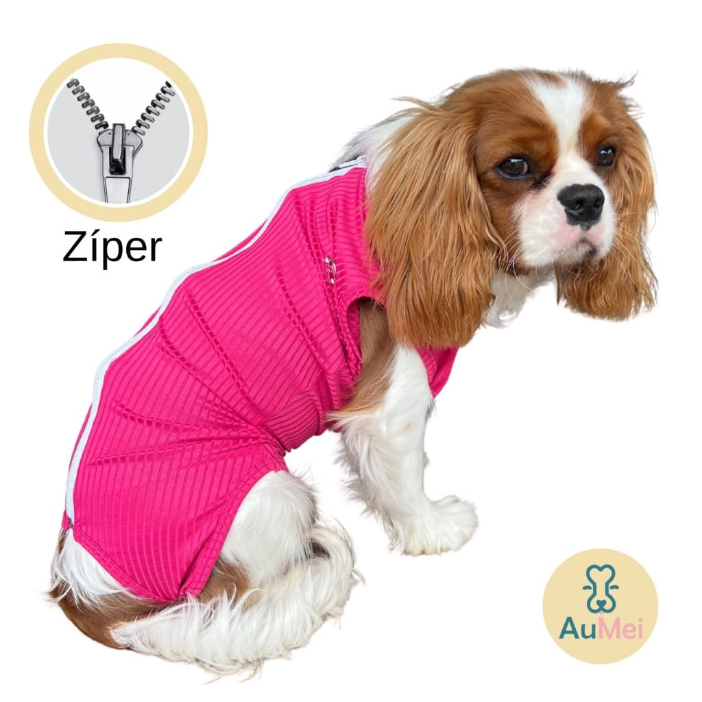 Roupa Pós Cirúrgica Castração Pet Gato Cachorro Body Protetor