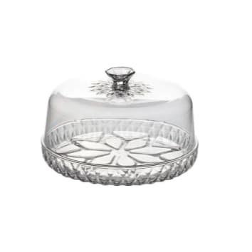 Queijeira Glamour Plasútil