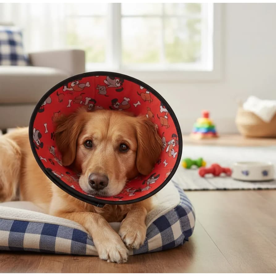 Colar Elizabetano Confort em tecido king of pets