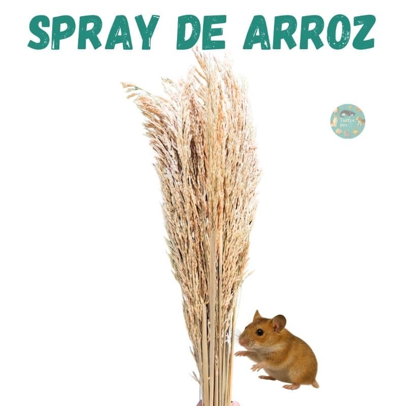 Ramos/Sprays de arroz kit não alvejados para hamster, gerbil, camundongos,aves