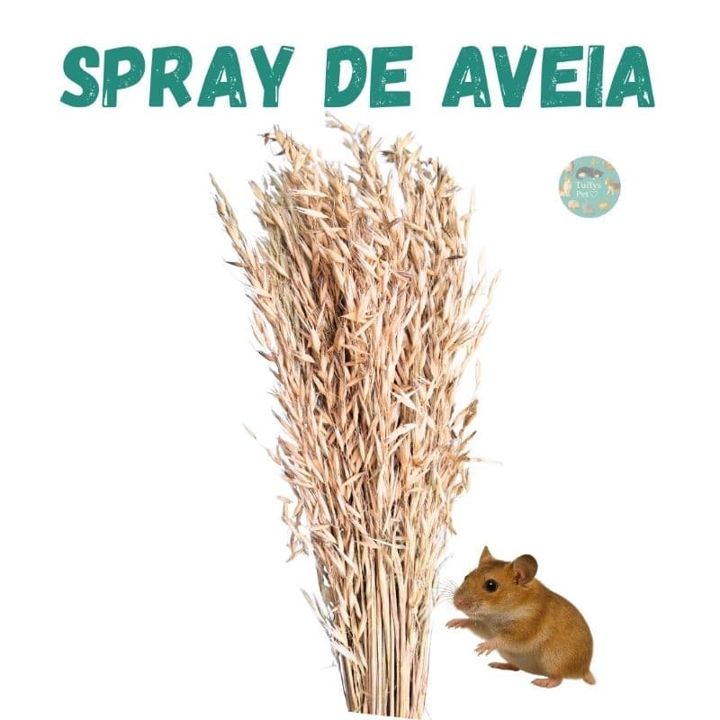 Spray, ramos de Aveia, roedores, hamster, gerbil, enriquecimento ambiental