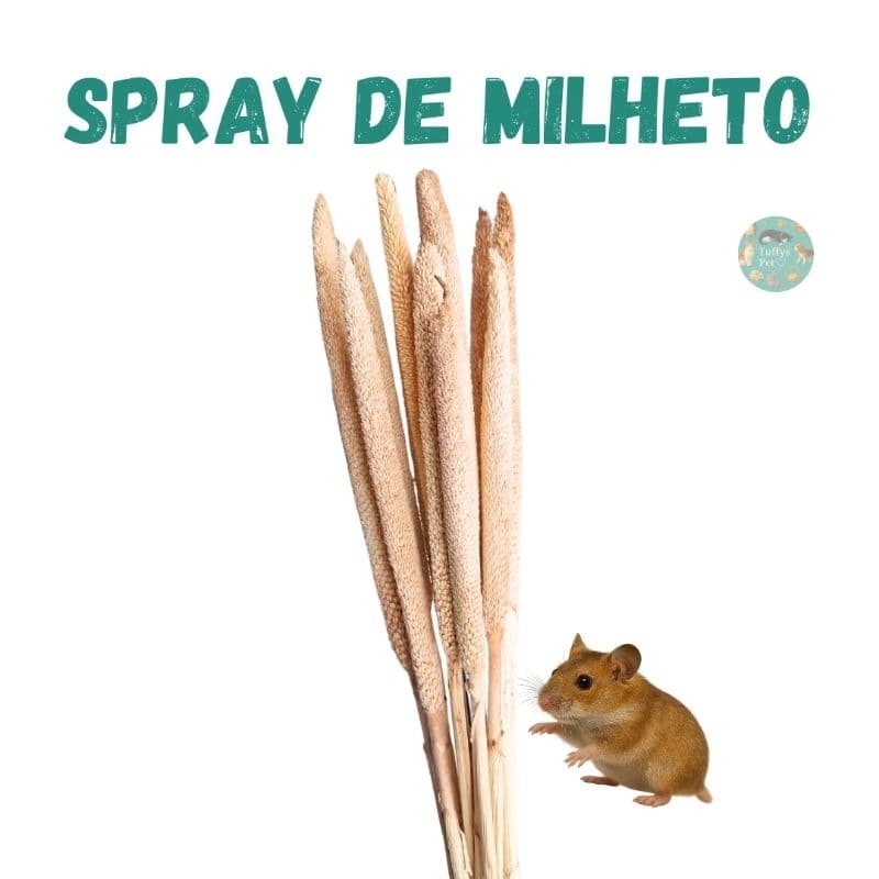 Milheto spray  hamster, gerbil roedores e aves