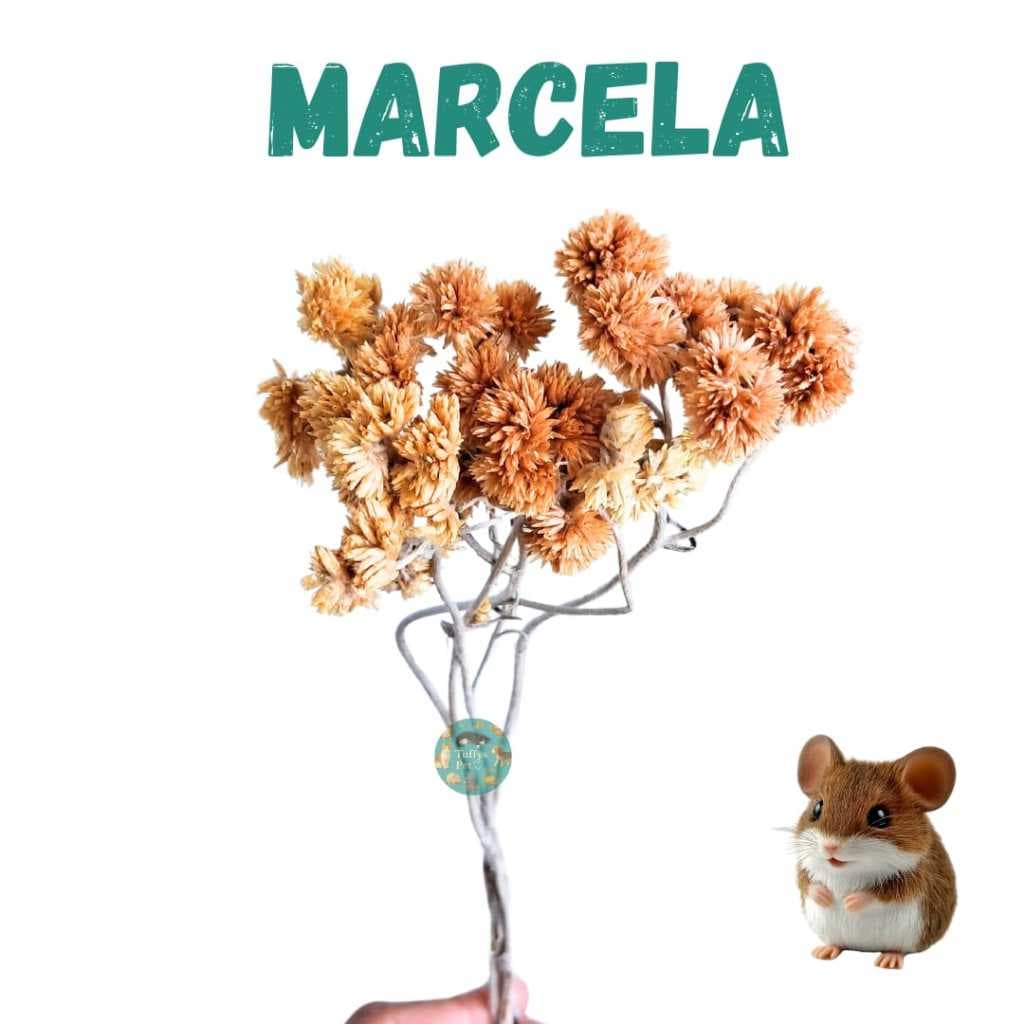 Flor Marcela desidratada para hamster, gerbil, ratos, roedores