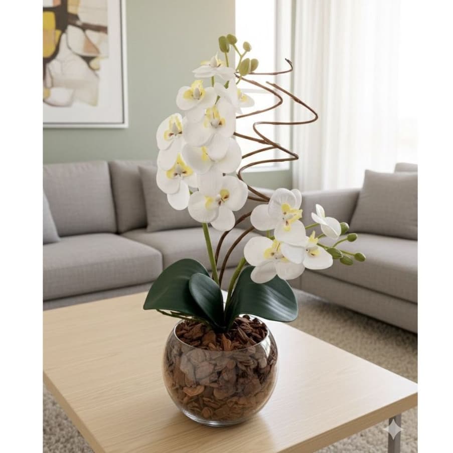 Arranjo Especial Orquídea 40 cm de Altura + Rococó - Acabamento Casca e Musgo Natural
