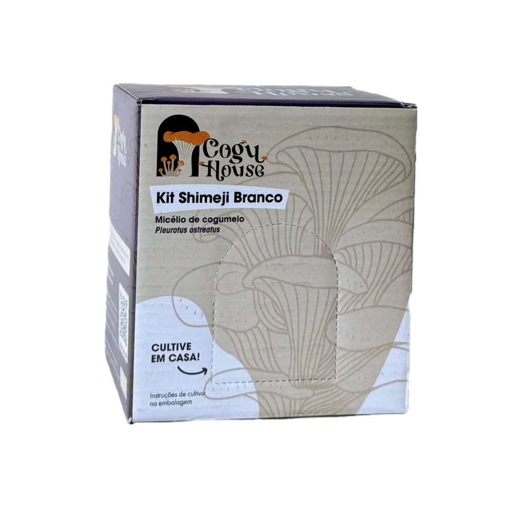 Kit Shimeji Branco - Micelio de Pleurotus ostreatus