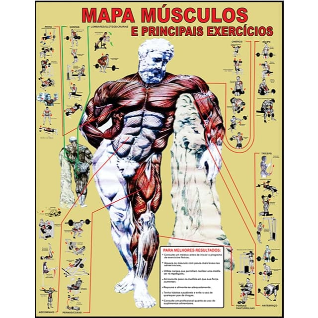 Mapa Músculo Exercício Academia Treino Corpo Humano Anatomia 90 x 120 cm Grande