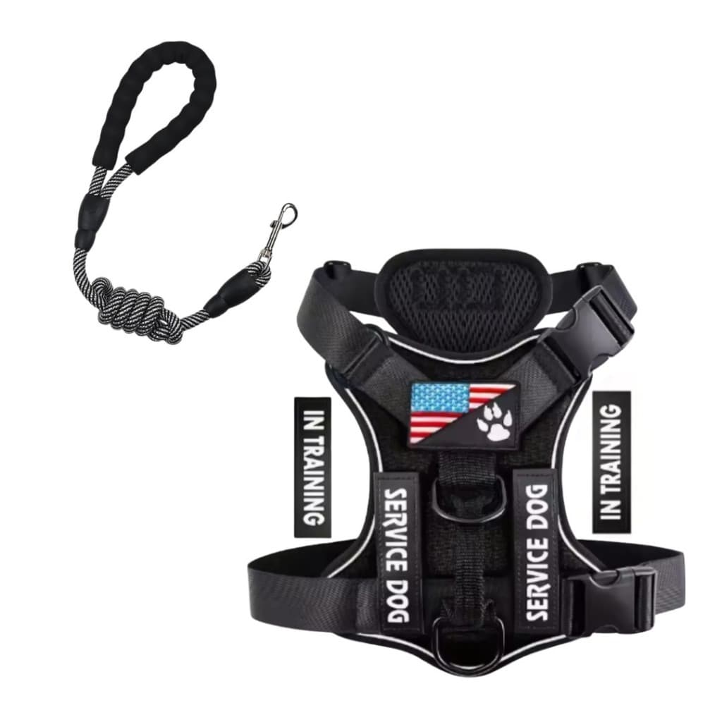 Kit Peitoral com Regulagem + Guia de Corda Reforçada Passeio Treinamento Segurança Conforto Coleira