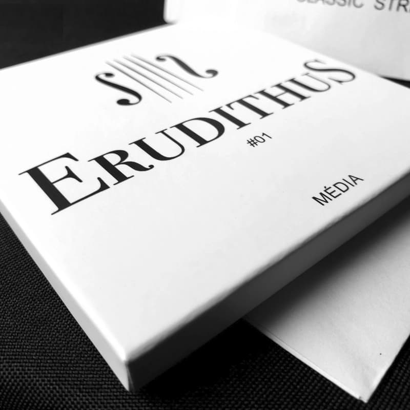 Encordoamento Erudithus para Violino 4/4 – Completo | Original | Pronta Entrega