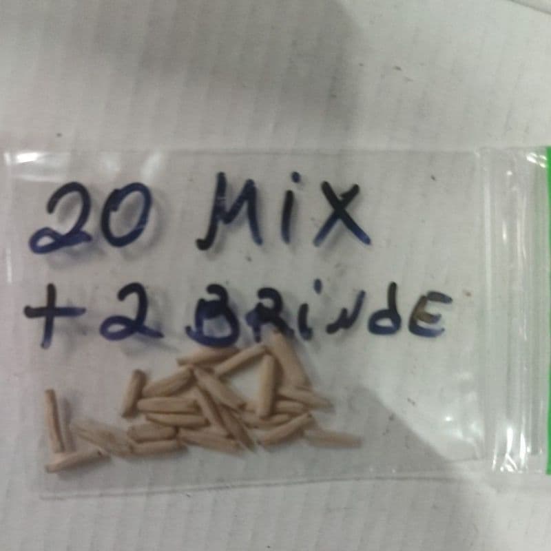 20 Sementes Mix de Rosa do Deserto (Adenium)