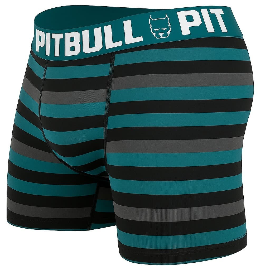 kit 10 cueca pitbull boxer qualidade premium estampadas variadas