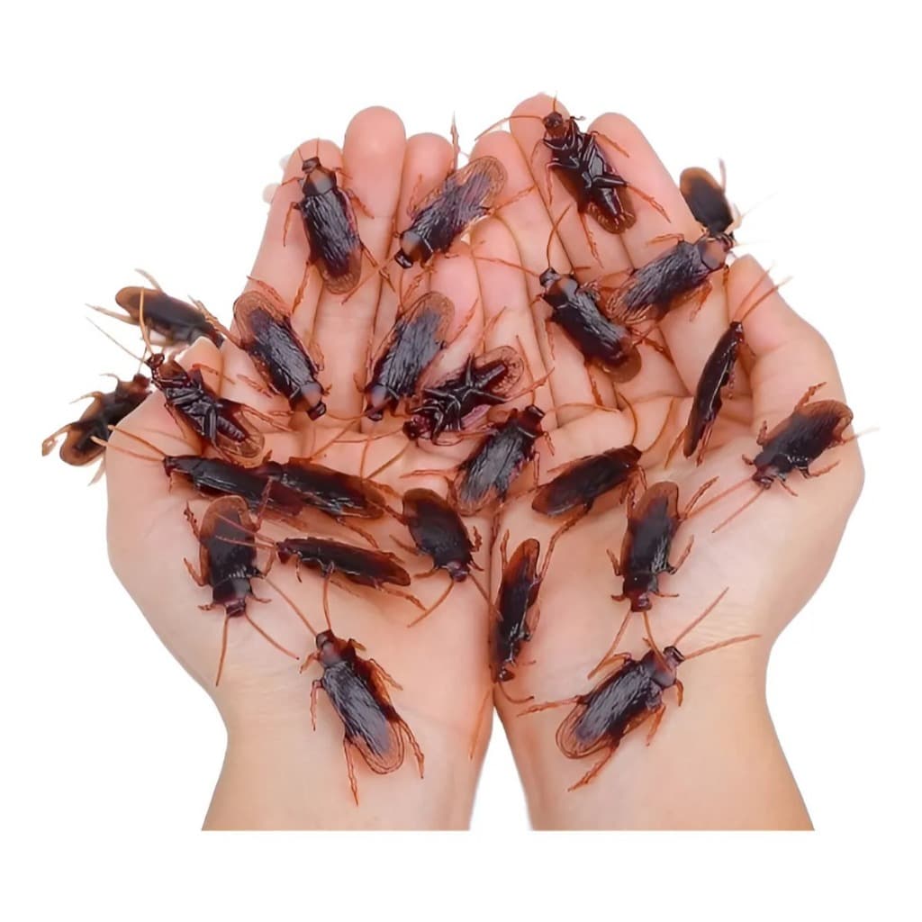 Barata Falsa  Kit Com 12 Unidade