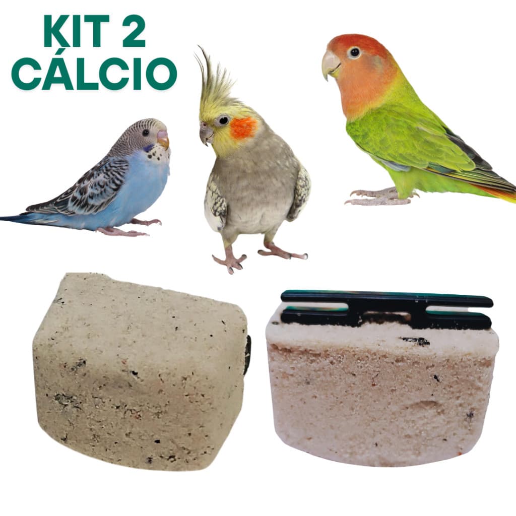 Kit 2 Pedras de Cálcio Suplemento Nutricional Calopsitas, Agapornis e Periquitos auxilia desgaste do bico Envio Imediato