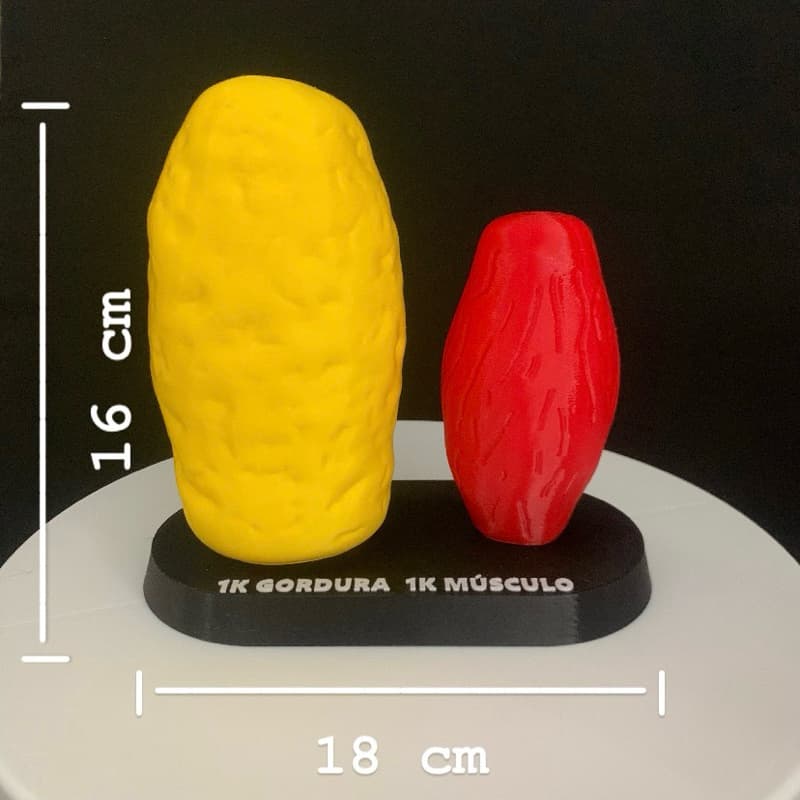 Gordura e Musculo Decoração nutricionista e fisioterapeuta