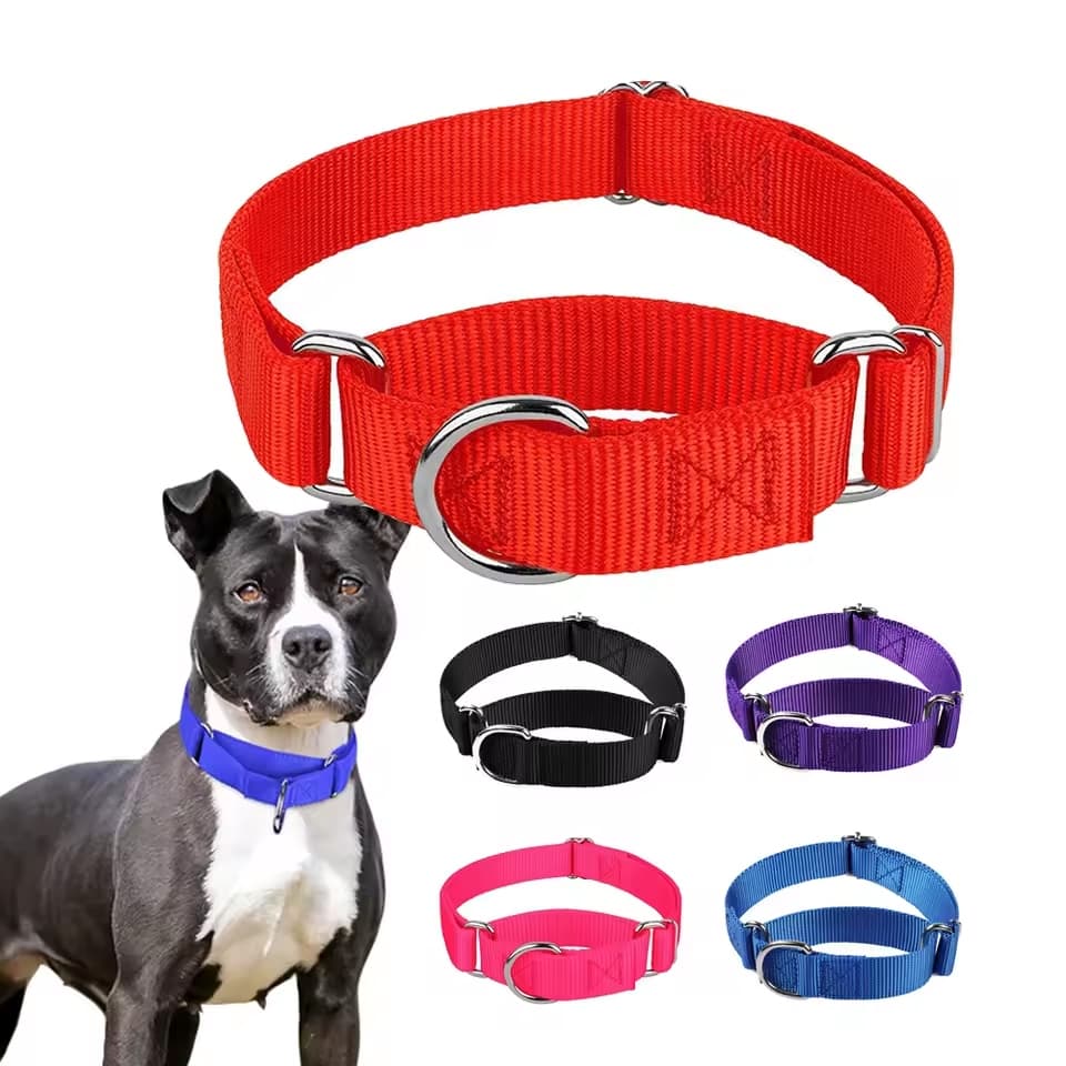 COLEIRA MARTINGALE PARA CACHORRO | COLEIRA PARA CACHORRO GRANDE | COLEIRA GALGO | MARTIGALE PET
