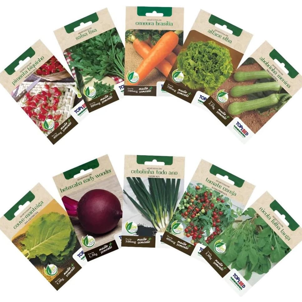 Kit 10 Sementes De Hortaliças Primeira Horta Topseed Garden Temperos Saladas Tomatinho