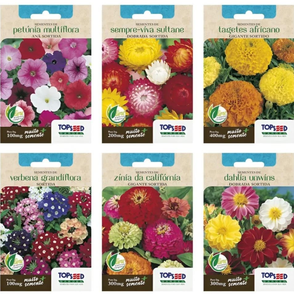 Kit sementes de flores Dália + Sempre Viva + Petúnia + Verbena + Tagete + Zinia Topseed Jardins