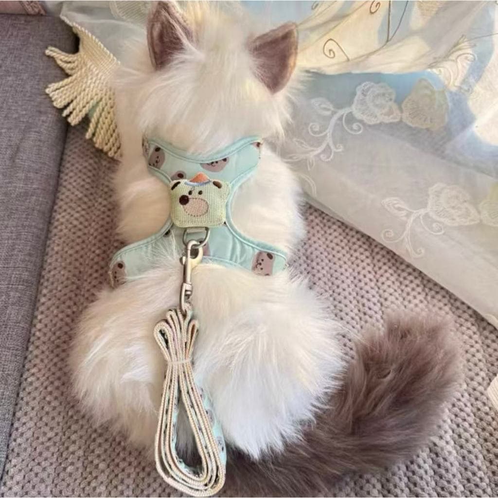 Desenho Ursinho Com Guia Para Cães cachorro e gatos Coleira peitoral Colorida