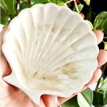 Bandeja - Porta Joias Concha Concreto  Decoração Minimalista