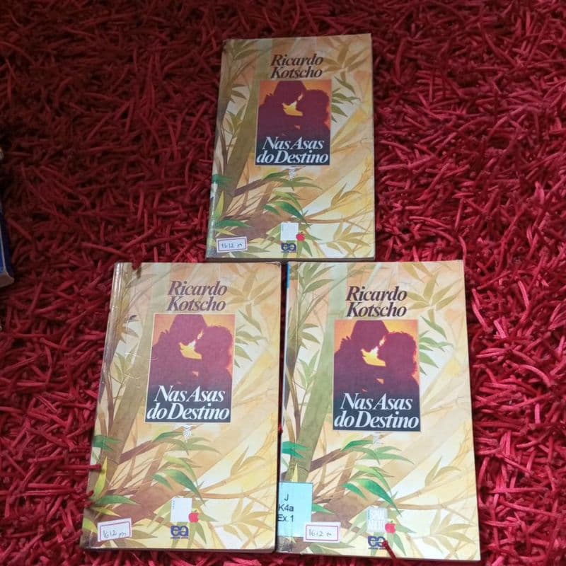Nas asas do destino Ricardo Kotscho (1612m)