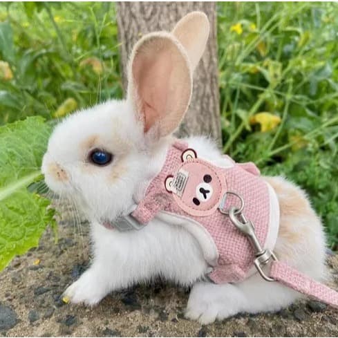 Coleira Peitoral Colete com Guia para Coelho e Porquinho da Índia Rosa, Azul, Apricot, Cinza